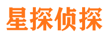 谢家集侦探公司